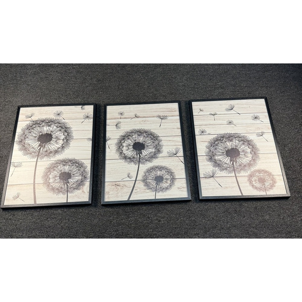 Wall Decor Black Framed Dandelion Canvas Prints 12x16ea.